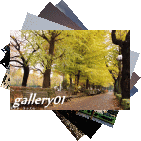 gallery01